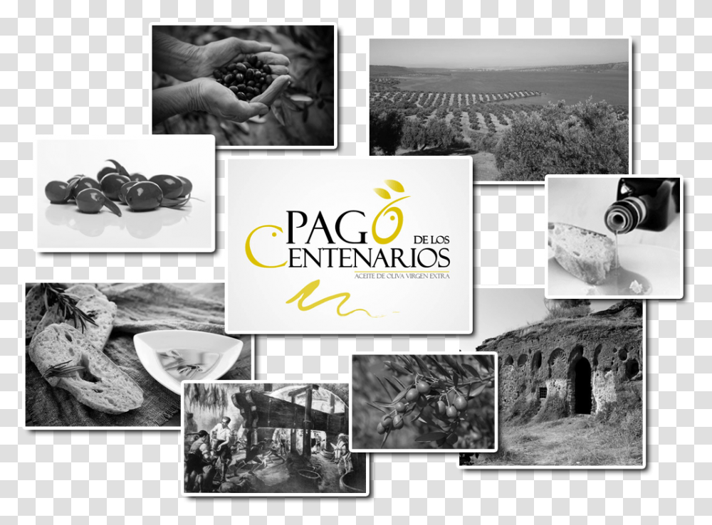 Aceite De Oliva Calidad Pago De Los Centenarios Collage, Poster, Advertisement, Nature, Person Transparent Png