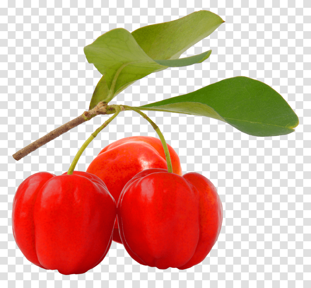 Acerola Cherry Image Acerola Cherry, Plant, Fruit, Food Transparent Png