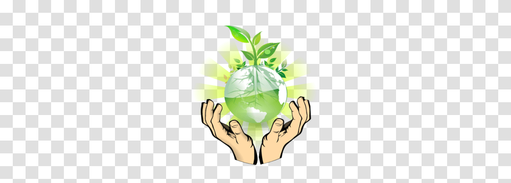 Acid Rain, Leaf, Hand, Person Transparent Png