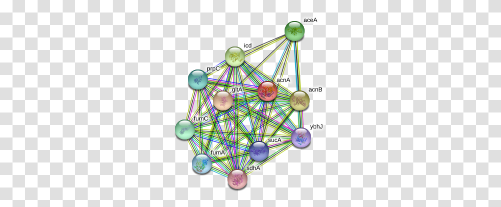 Acna Protein Circle, Sphere, Outer Space, Astronomy, Universe Transparent Png