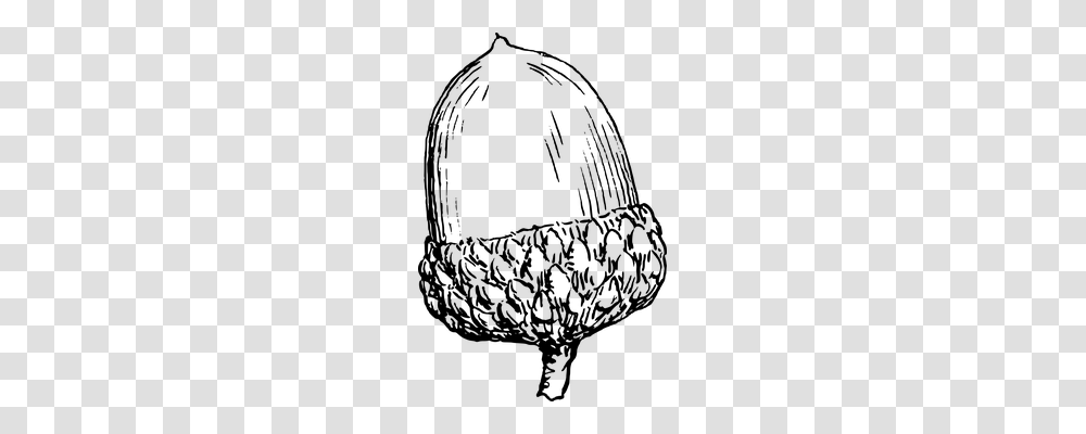 Acorn Nature, Gray, World Of Warcraft Transparent Png