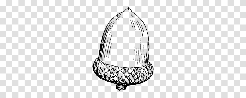 Acorn Nature, Gray, World Of Warcraft Transparent Png