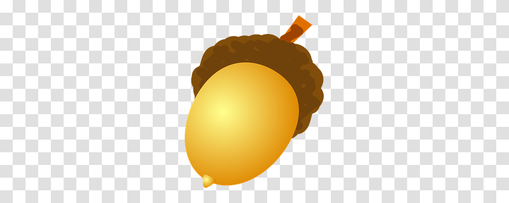 Acorn Nature, Plant, Produce, Food Transparent Png