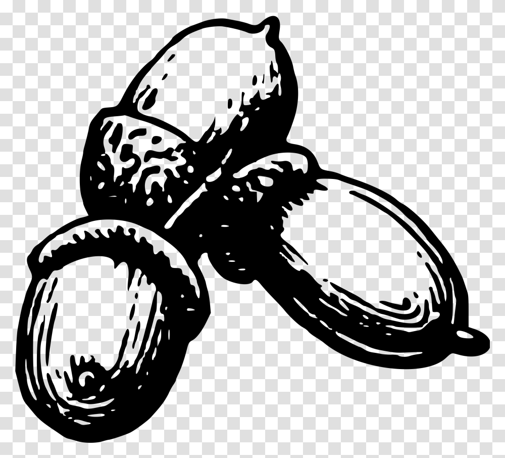 Acorn 4 Clip Arts Nuts And Seeds Clipart, Gray, World Of Warcraft Transparent Png