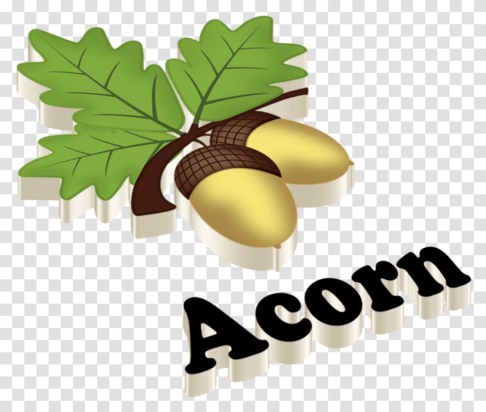 Acorn Aleena Name, Plant, Produce, Food, Grain Transparent Png