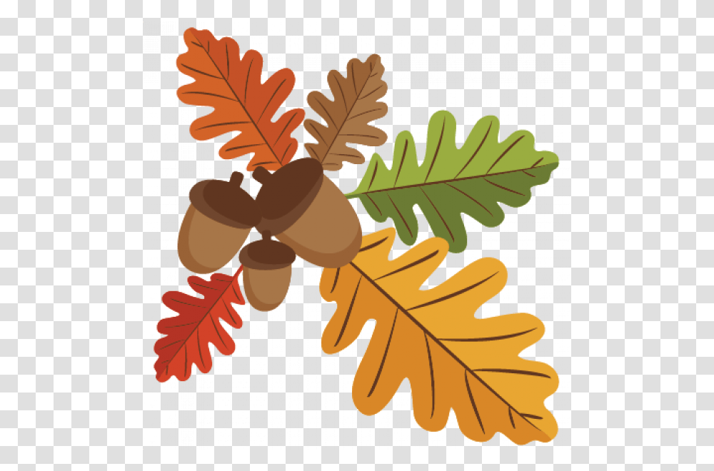 Acorn And Leaves Clipart, Plant, Nut, Vegetable, Food Transparent Png