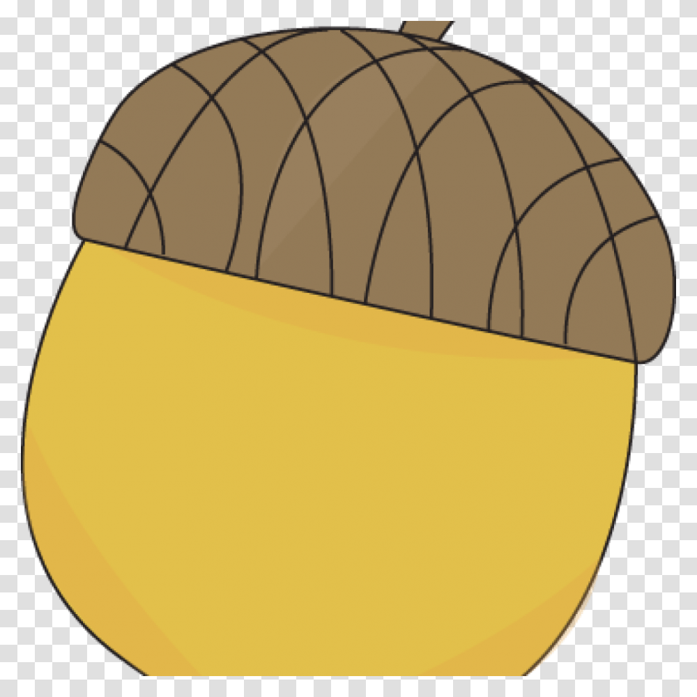 Acorn Clipart Animated For Free Download On Mbtskoudsalg, Plant, Produce, Food, Seed Transparent Png