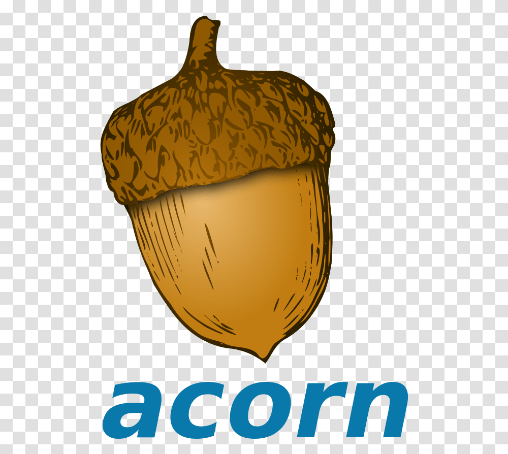 Acorn Clipart Cartoon Acorn, Plant, Nut, Vegetable, Food Transparent Png