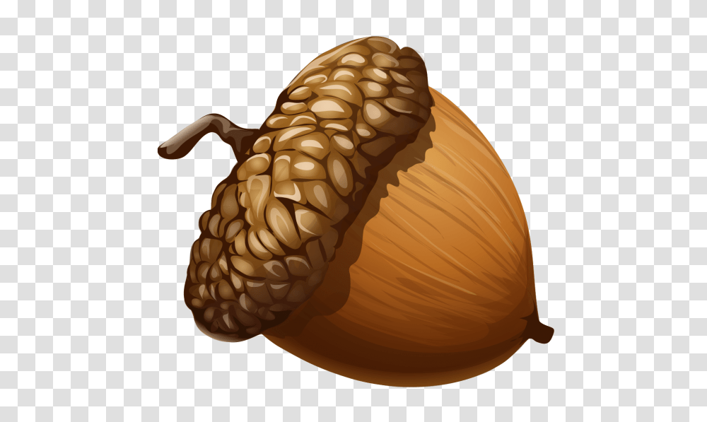 Acorn Clipart Nice Clip Art, Plant, Vegetable, Food, Seed Transparent Png