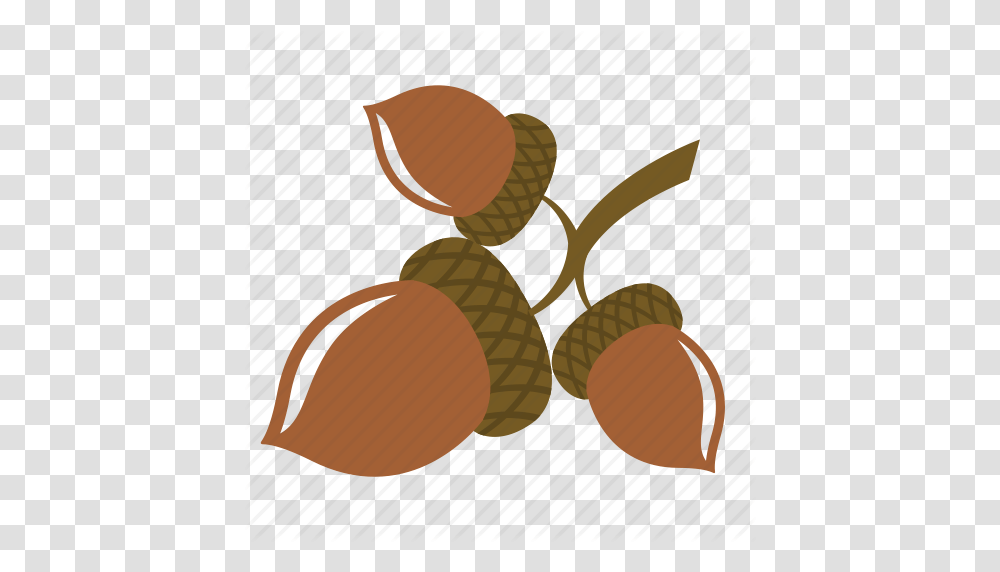 Acorn Clipart Nut Seed, Plant, Vegetable, Food, Produce Transparent Png