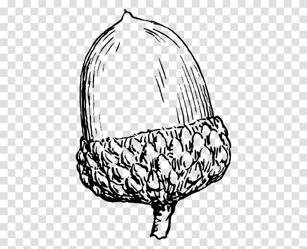 Acorn Drawing Download Computer Icons Nut, Gray, World Of Warcraft Transparent Png