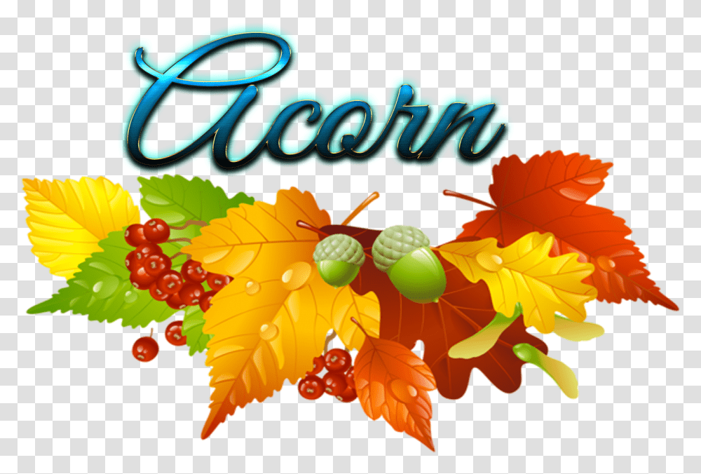 Acorn Fall Leaf Clipart, Plant, Tree, Grapes, Fruit Transparent Png