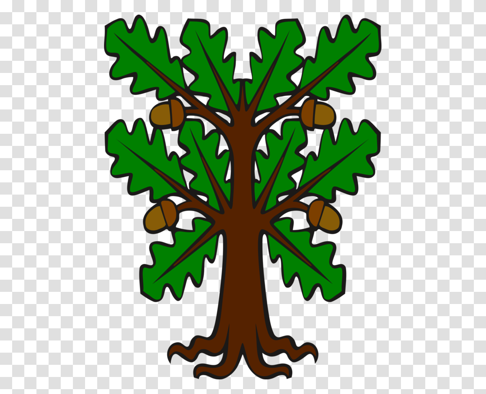 Acorn Leaf English Oak White Oak Southern Live Oak, Plant, Produce, Food, Seed Transparent Png