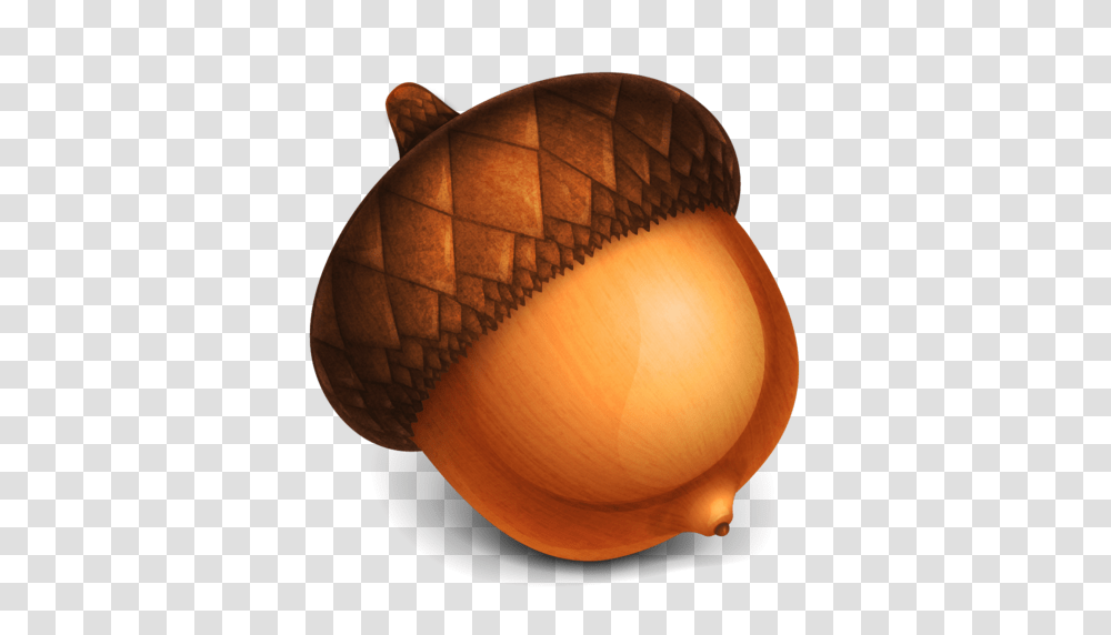 Acorn, Nature, Plant, Lamp, Vegetable Transparent Png