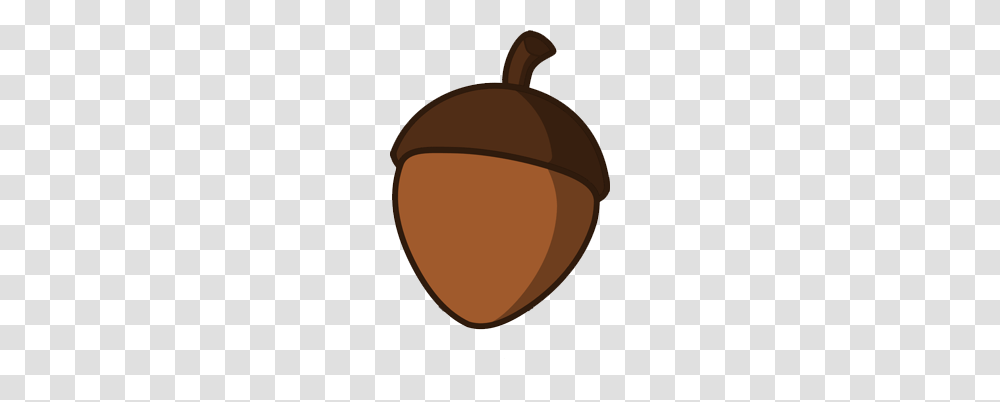 Acorn, Nature, Plant, Nut, Vegetable Transparent Png