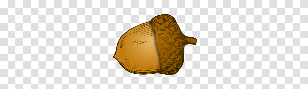 Acorn, Nature, Plant, Produce, Food Transparent Png