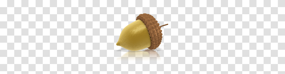 Acorn, Nature, Plant, Produce, Food Transparent Png