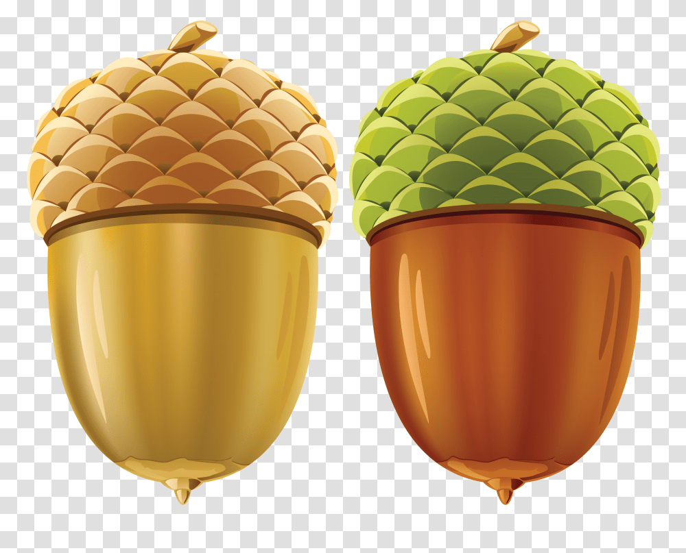 Acorn, Nature, Plant, Produce, Food Transparent Png