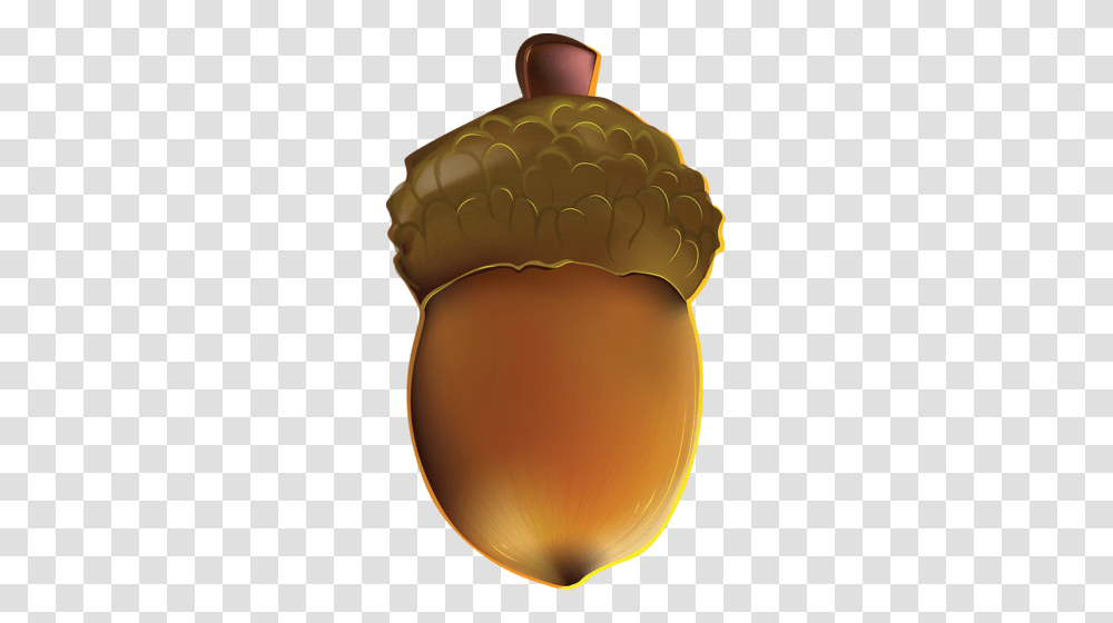 Acorn, Nature, Plant, Seed, Grain Transparent Png