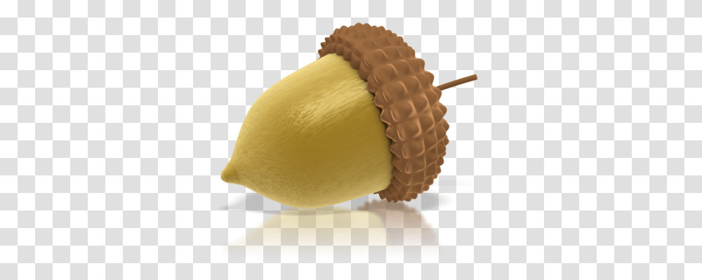 Acorn, Nature, Plant, Seed, Grain Transparent Png