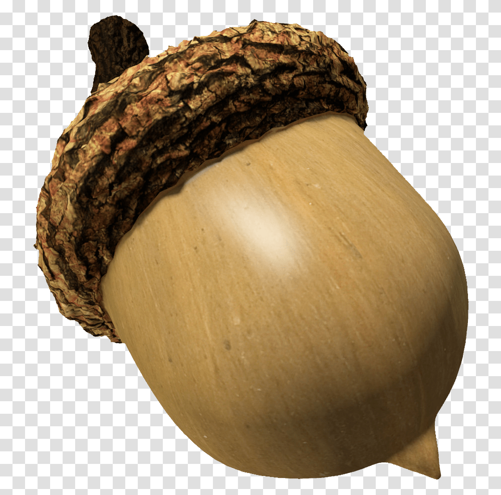 Acorn, Nature, Plant, Vegetable, Food Transparent Png