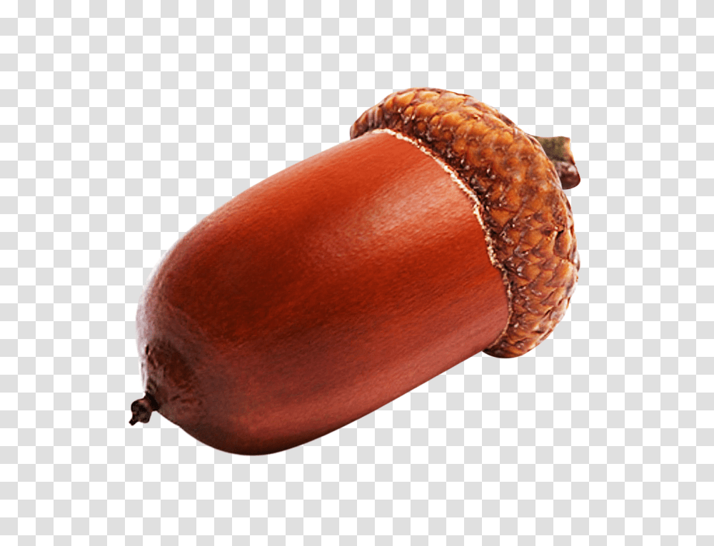 Acorn, Nature, Plant, Vegetable, Food Transparent Png