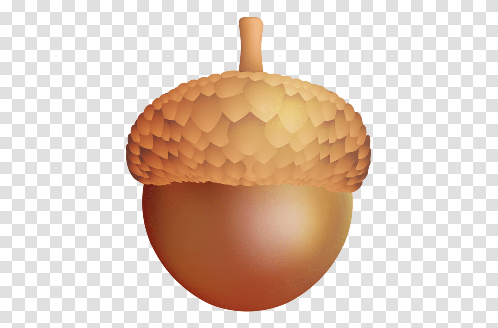 Acorn, Nature, Plant, Vegetable, Food Transparent Png