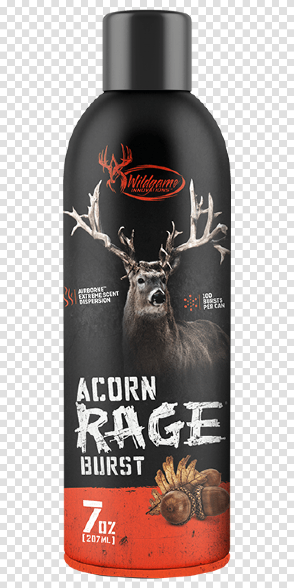 Acorn Rage, Antler, Deer, Wildlife, Mammal Transparent Png
