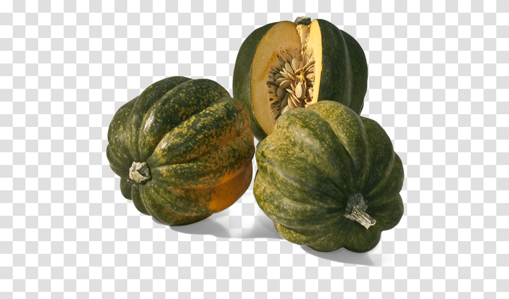 Acorn Squash Background Squash, Plant, Food, Fruit, Produce Transparent Png