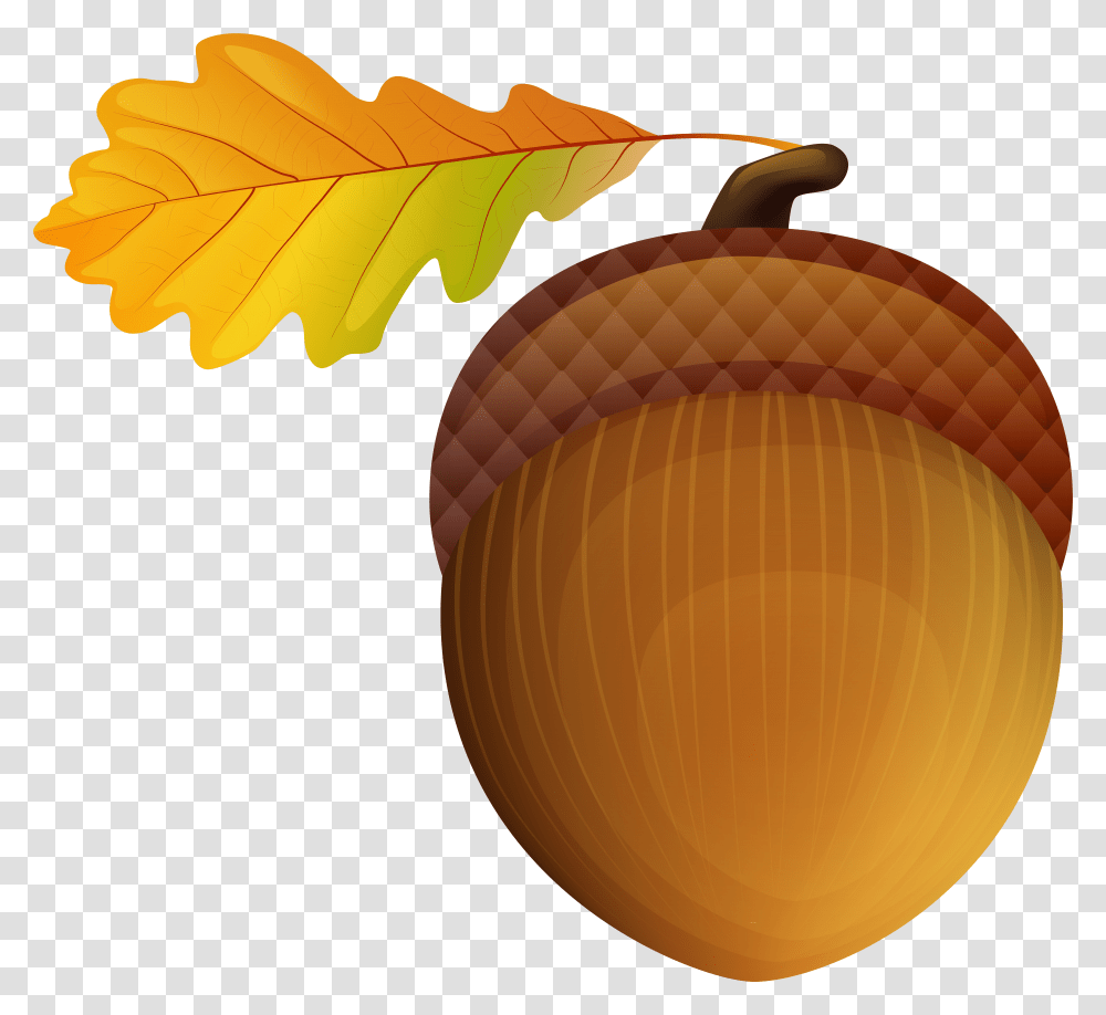 Acorn Vector Freeuse Stock Background Transparent Png
