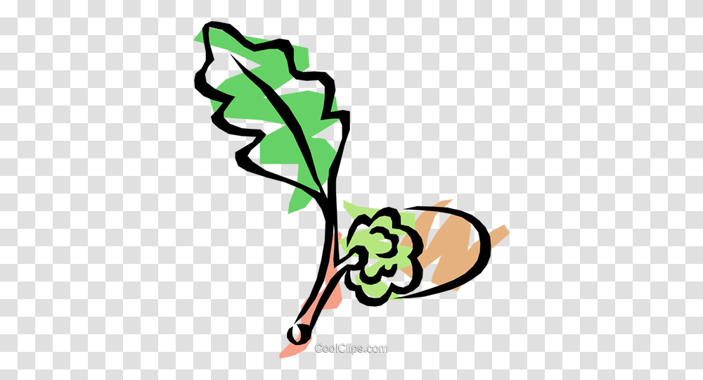 Acorn With Oak Leaf Royalty Free Vector Clip Art Illustration, Plant, Flower, Annonaceae, Tree Transparent Png