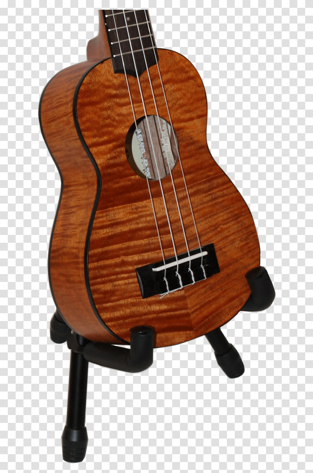 Acoustic Guitar, Leisure Activities, Musical Instrument, Bass Guitar, Lute Transparent Png