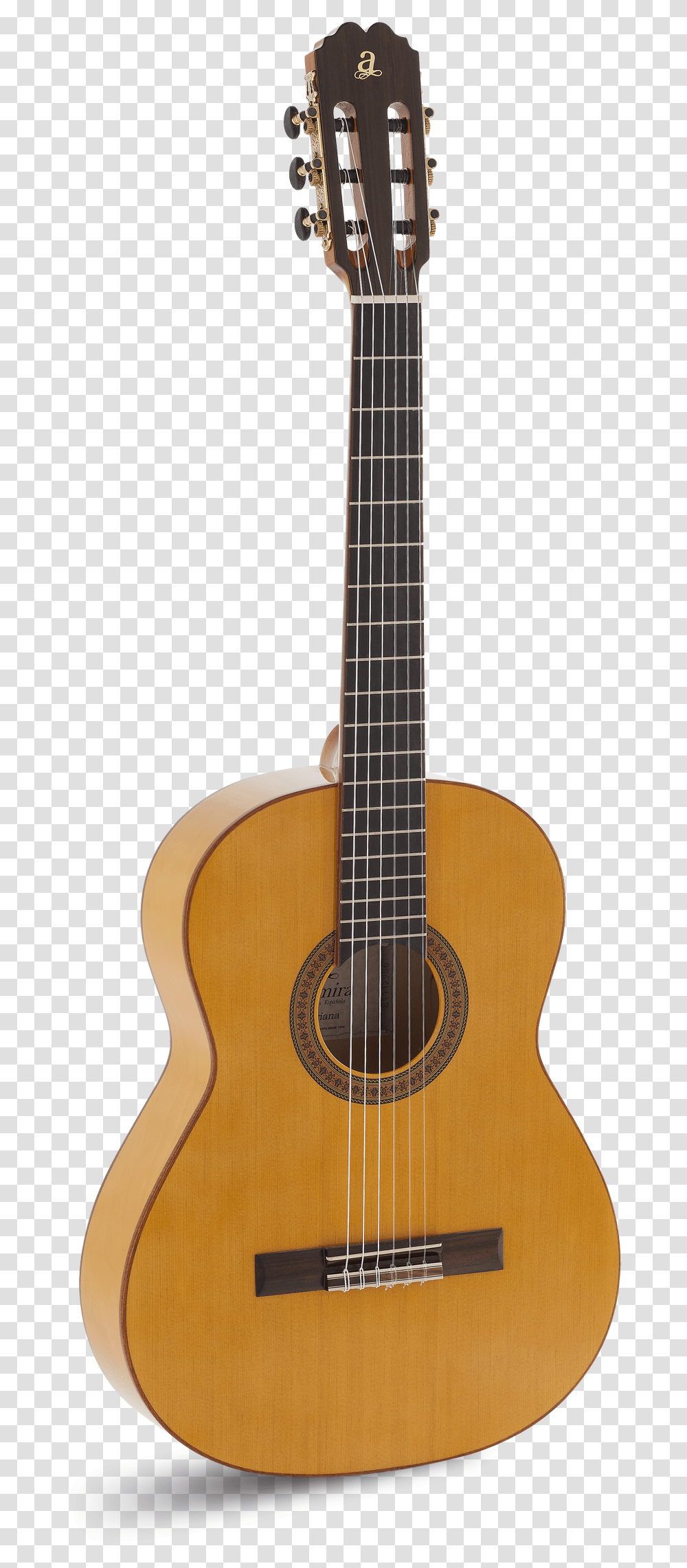 Acoustic Guitar, Leisure Activities, Musical Instrument, Bass Guitar, Lute Transparent Png