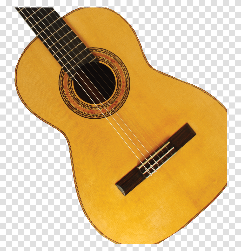 Acoustic Guitar, Leisure Activities, Musical Instrument, Bass Guitar, Lute Transparent Png