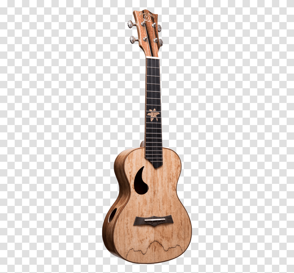 Acoustic Guitar, Leisure Activities, Musical Instrument, Bass Guitar, Lute Transparent Png