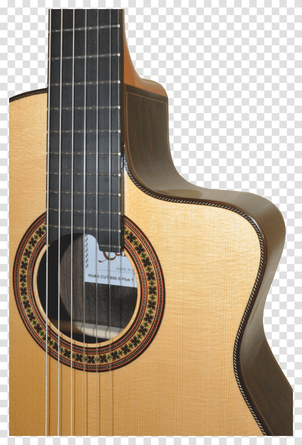 Acoustic Guitar, Leisure Activities, Musical Instrument, Lute, Mandolin Transparent Png
