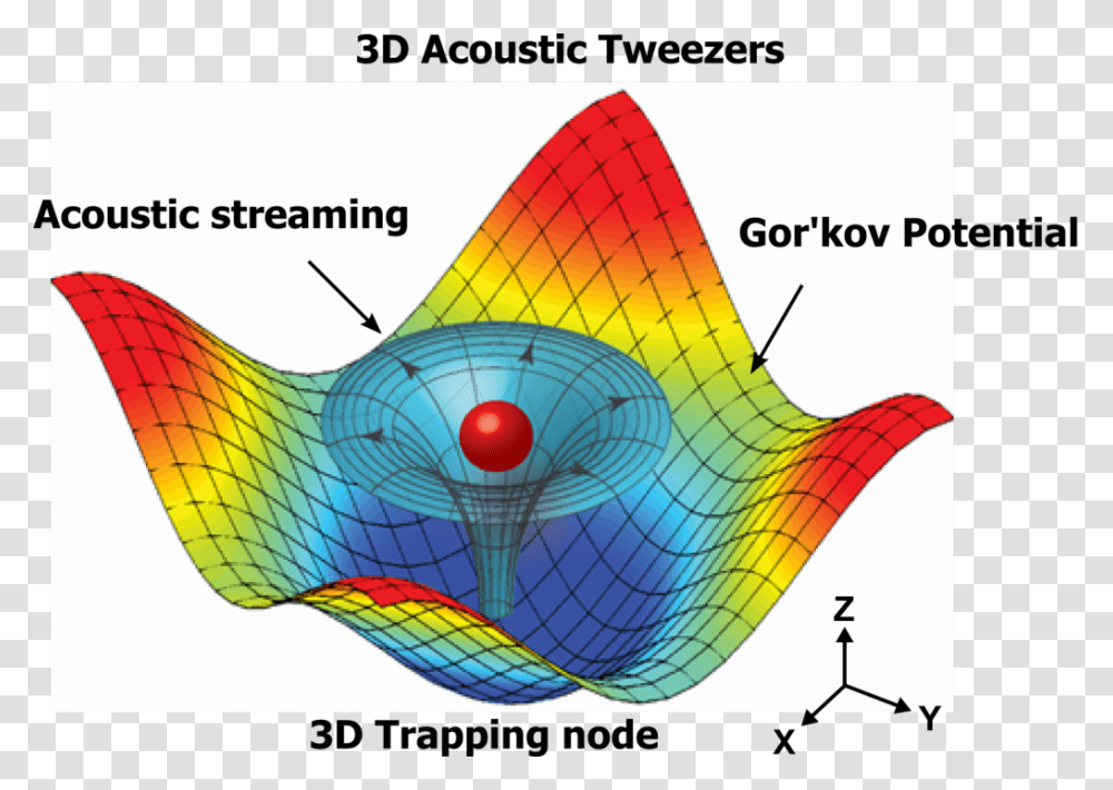 Acoustic Tweezers Levitate Single Cells Using Sound Waves Levitation By Sound Waves, Plot, Diagram, Animal, Sea Life Transparent Png