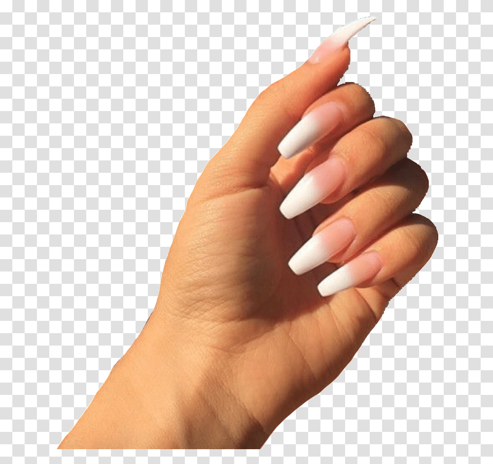 Acrylic Nails Almond Hand With Acrylic Nails, Person, Human, Manicure Transparent Png