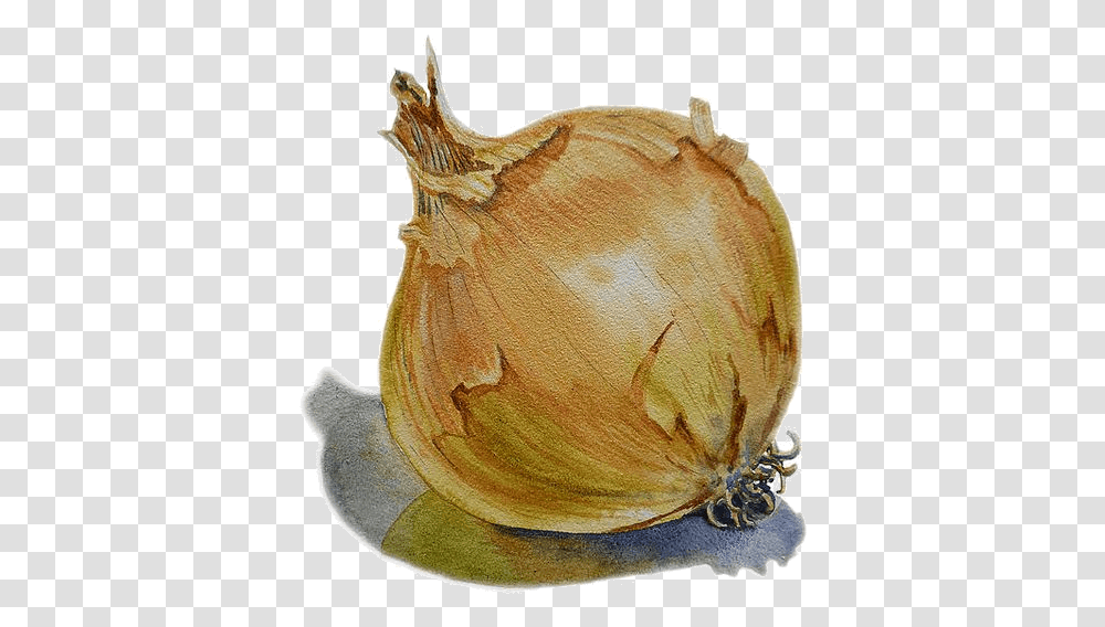 Acrylic Painting Of Onion, Plant, Vegetable, Food, Fungus Transparent Png
