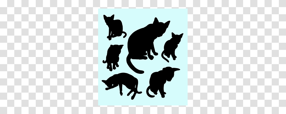 Action Silhouette, Mammal, Animal, Black Cat Transparent Png