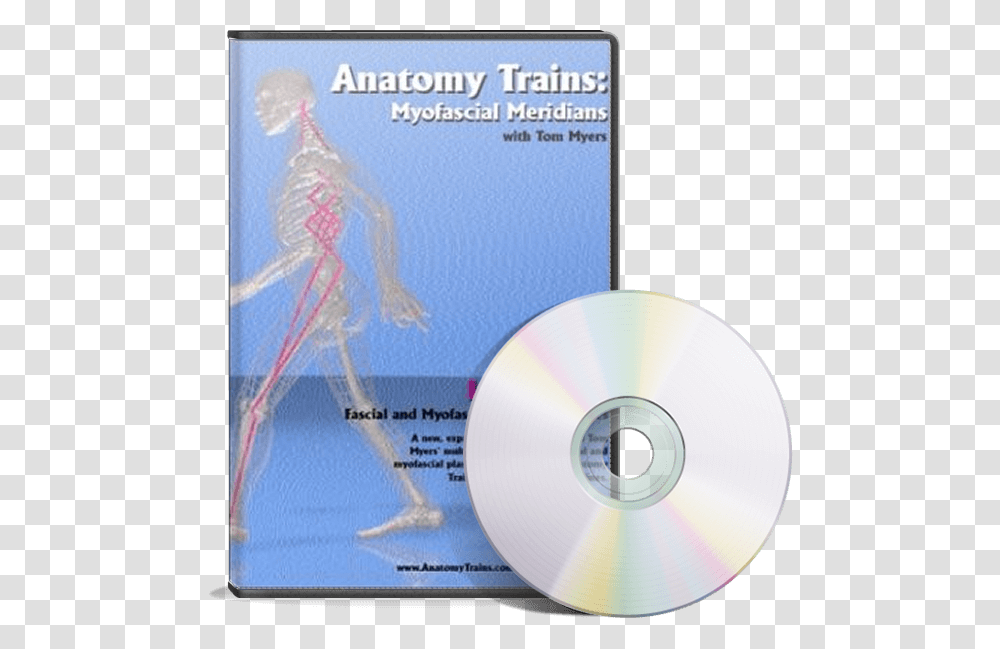 Action Lines Anatomy Trains Revealed Dvd, Disk, Person, Human Transparent Png