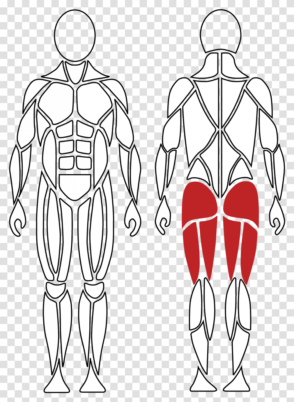 Active Muscles For Hip Extension David Health Solutions Illustration, Stencil, Grenade, Bomb, Weapon Transparent Png