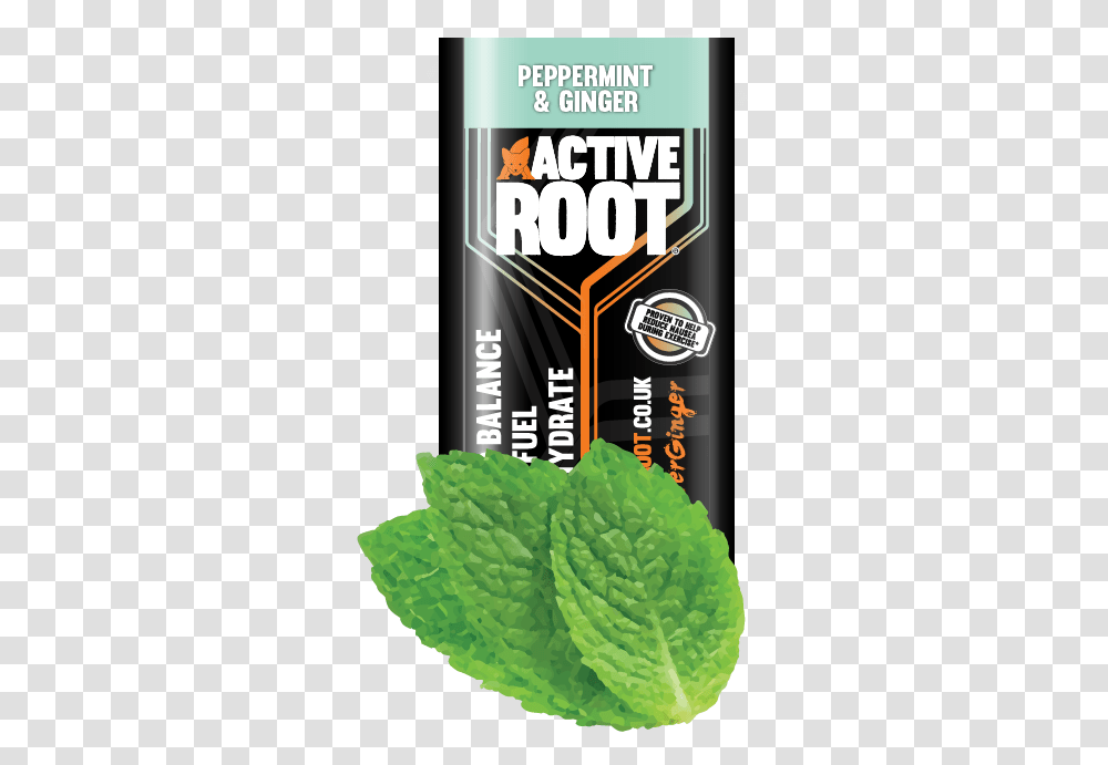 Active Root Drink, Potted Plant, Vase, Jar, Pottery Transparent Png