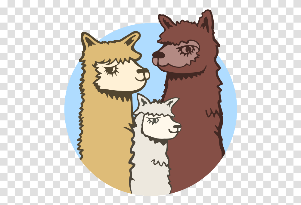 Acton Hill Alpacas Cartoon, Mammal, Animal, Llama, Cat Transparent Png
