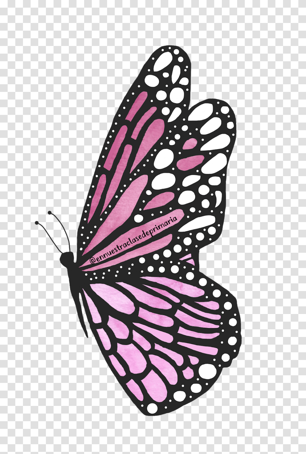 Acuarela I Girly, Animal, Invertebrate, Art, Insect Transparent Png