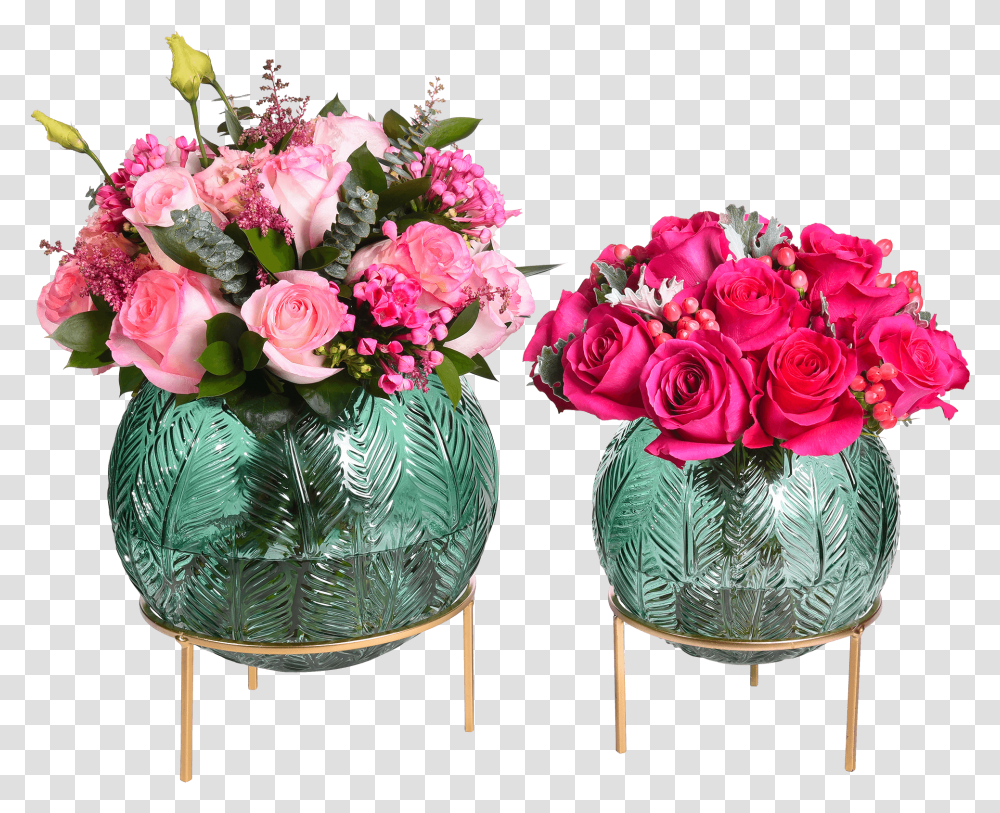 Adam Amp Eve Collection Garden Roses, Plant, Flower, Blossom, Flower Bouquet Transparent Png
