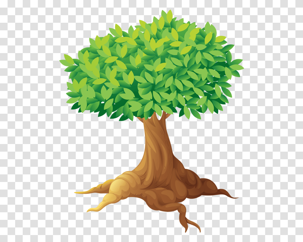 Adam And Eve Clipart Birds In Tree Clipart, Plant, Palm Tree, Arecaceae, Root Transparent Png