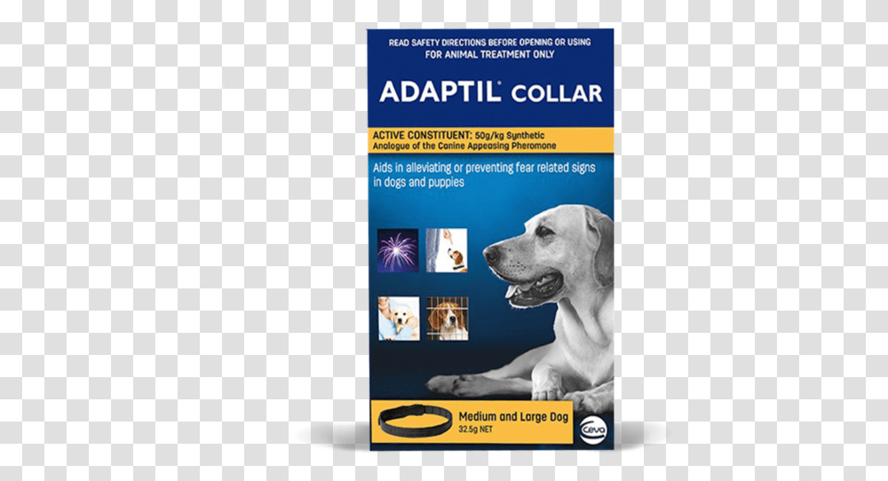 Adaptil Collar, Dog, Pet, Canine, Animal Transparent Png