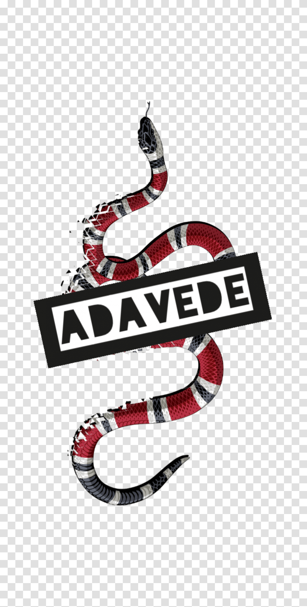 Adavede Gucci Snake Creata Da Stampa La Cover, Animal, King Snake, Reptile, Person Transparent Png