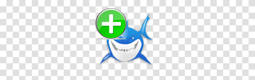 Add, Icon, Shark, Sea Life, Fish Transparent Png